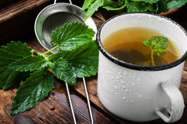 Friss Természetes Zöld Melissa Gyógynövény Tea Cup Relaxációs Egészséges Ital — Stock Fotó