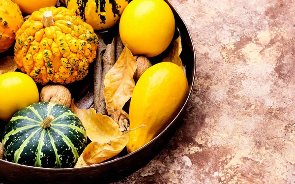 Fondo Estacional Otoño Con Calabazas Bandeja Concepto Naturaleza Otoñal —  Fotos de Stock