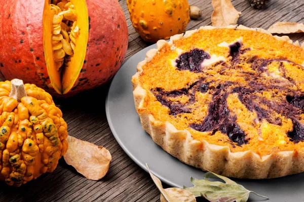 Pastel Casero Popular Calabaza Del Otoño Alimentos Del Otoño Postre — Foto de Stock