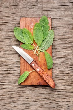 Sağlıklı adaçayı bitki rustik masada. Alternatif Tıp