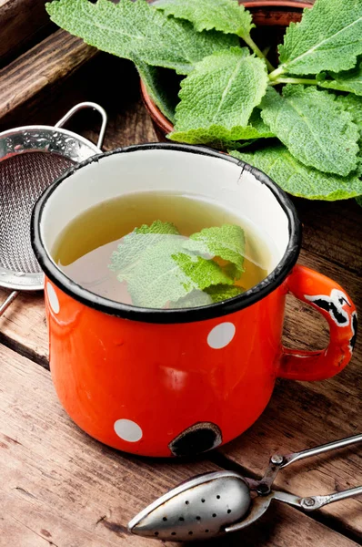 Заваренный Вкусный Травяной Чай Шалфеем Ретро Фоне — стоковое фото