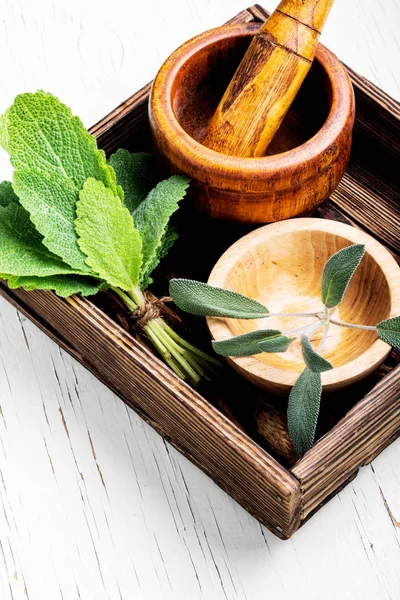 Sage,healing herbs in wooden box on table.Herbal medicine