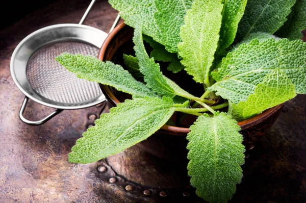 Sage,healing herbs in wooden box on table.Herbal medicine