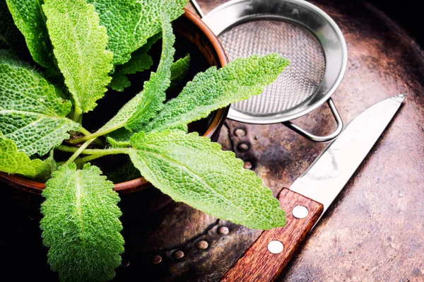Sage Penyembuhan Herbal Dalam Kotak Kayu Table Herbal Obat — Stok Foto