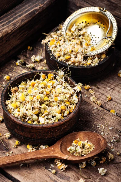 Dried Chamomile Flowers Wooden Table Alternative Medicine — Stock Photo, Image