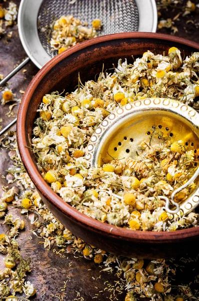 Dried Chamomile Flowers Wooden Table Alternative Medicine — Stock Photo, Image