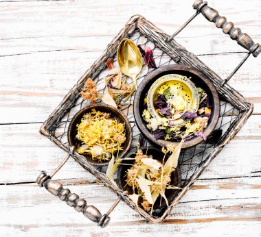 Çeşitli kuru tıbbi otlar. Şifalı otlar ayarlayın. Homeopati tıp. Bitkisel ilaç