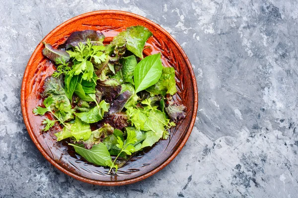 Frischer Salatteller Mit Gemischtem Grün Gesundes Essen — Stockfoto