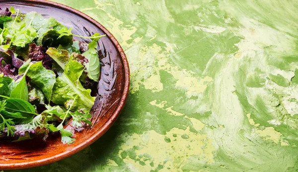 Assiette Salade Fraîche Avec Des Légumes Mélangés — Photo