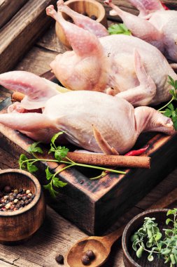 Bir mutfak kurulu ve malzemeler taze çiğ bıldırcın. Bıldırcın eti