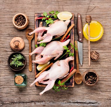 Taze çiğ et bıldırcınlar yemek pişirmek için hazır. Çiğ bıldırcın