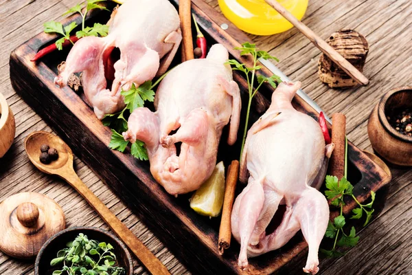 新鮮な生の肉のウズラ料理準備ができて 生うずら — ストック写真