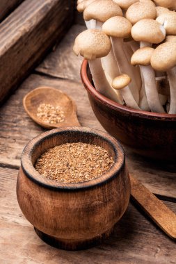 Bir tabak orman mantarı için baharat. Mantar çeşnisi