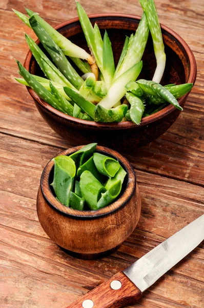 Hojas Frescas Aloe Vera Con Rodajas Aloe Vera Una Planta —  Fotos de Stock