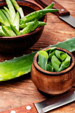 Aloe vera taze yapraklar ve dilimler. Aloe vera tıbbi bir bitki