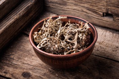 Icelandic moss in traditional alternative medicine.Herbal medicine clipart