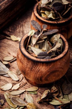 Kurutulmuş yaban mersini yaprakları. Şifalı bitkiler. Alternatif tıpta kurutulmuş bitkiler