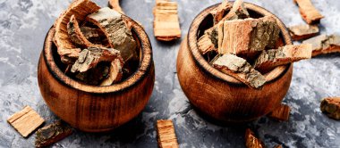 Meşe Barka harç kayrak tablo içinde. Bitkisel Tıp meşe ağacı. Tıbbi bitki meşe.