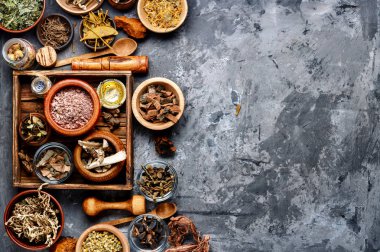 Şifalı otlar, bitkiler ve şifalı kökleri büyük kümesi. Homeopati ve alternatif tıp