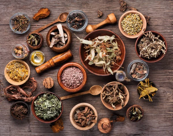 Conjunto Ervas Curativas Plantas Raízes Medicinais Ervas Medicinas Healing Tábua — Fotografia de Stock