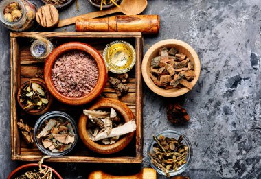 Çeşitli doğal tıbbi otlar. Homeopati ve alternatif tıp