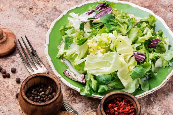 Färsk Salladsplatta Med Blandade Grönsaker Hälsosam Mat Vegetarisk Mat — Stockfoto