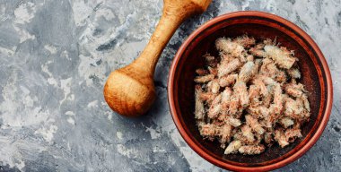 Çam tomurcukları, doğal şifacı