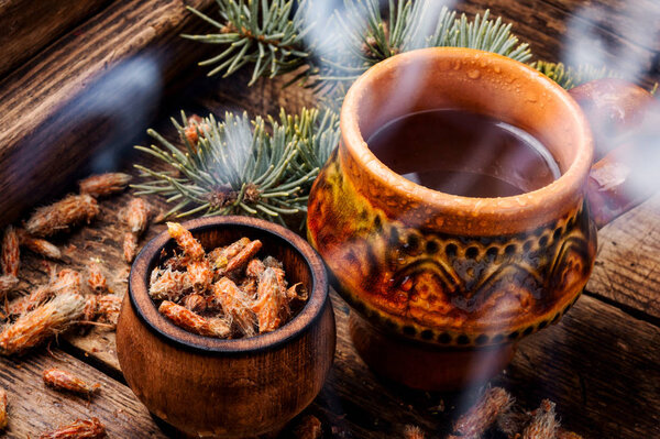 Tea with pine buds
