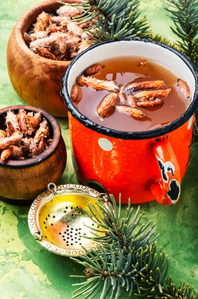 Tea with pine buds — Stock Photo, Image