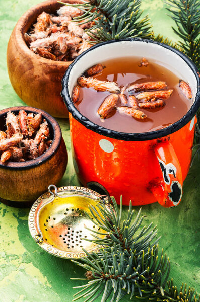 Tea with pine buds