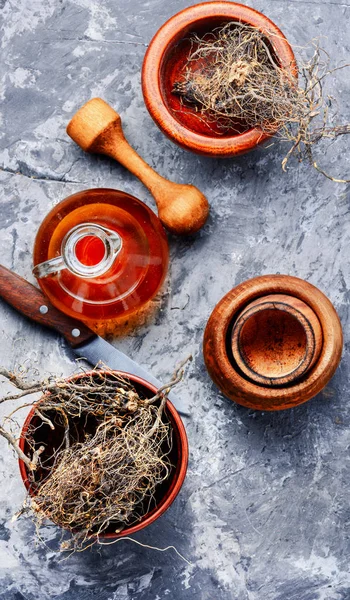 Maral wortel in kruidengeneeskunde — Stockfoto