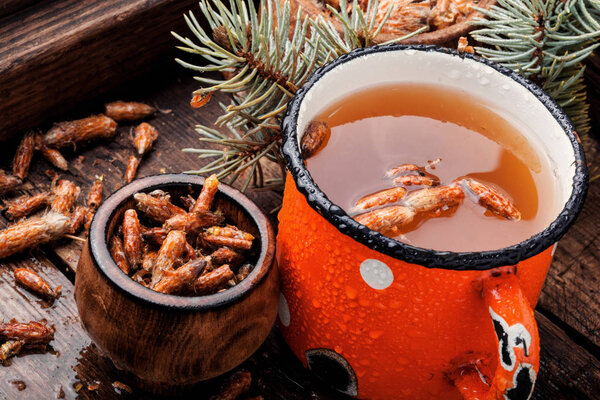 Tea with pine buds