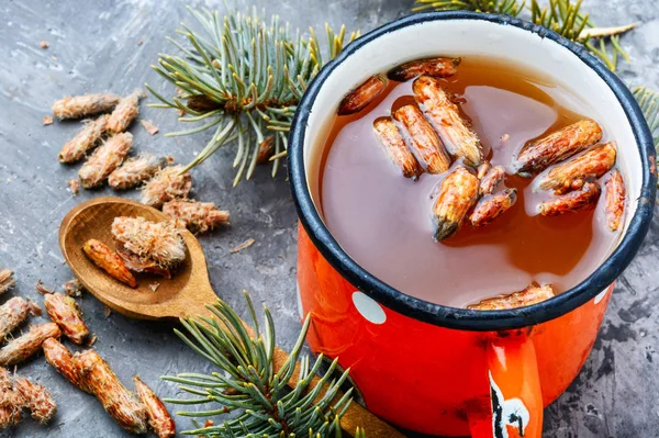 Tea with pine buds — Stock Photo, Image