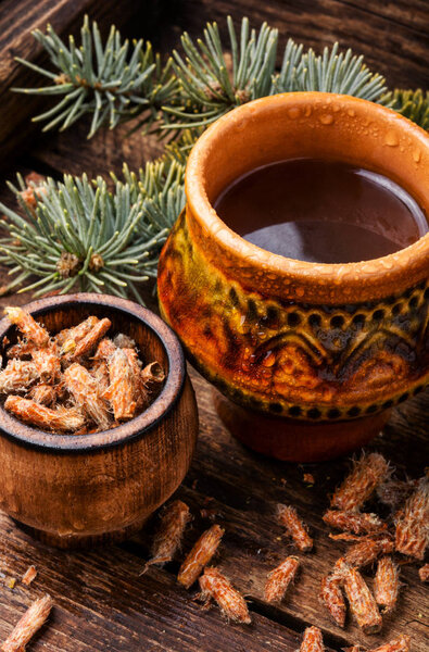 Tea with pine buds