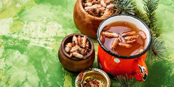 Tea with pine buds — Stock Photo, Image