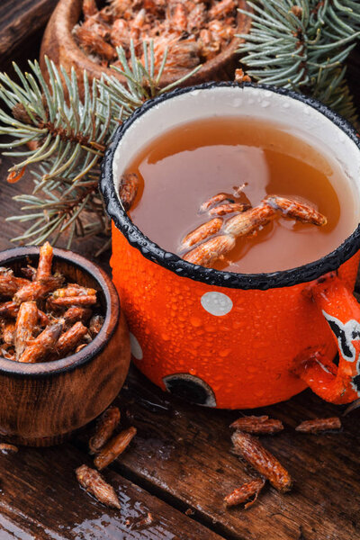 Tea with pine buds