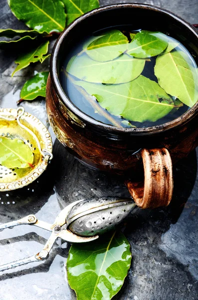 Cup of herbal tea — Stock Photo, Image