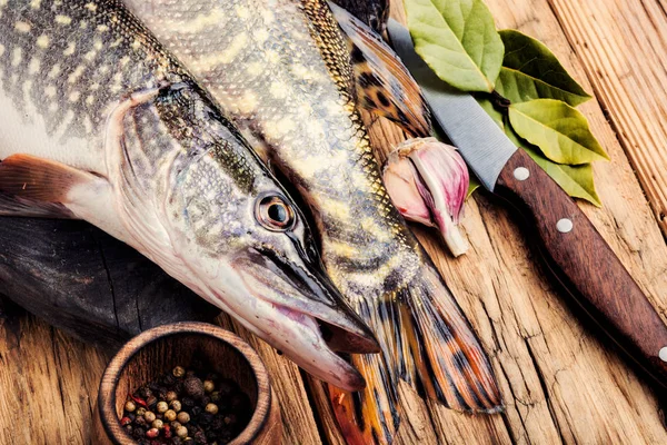 Pesce luccio sul bordo della cucina — Foto Stock