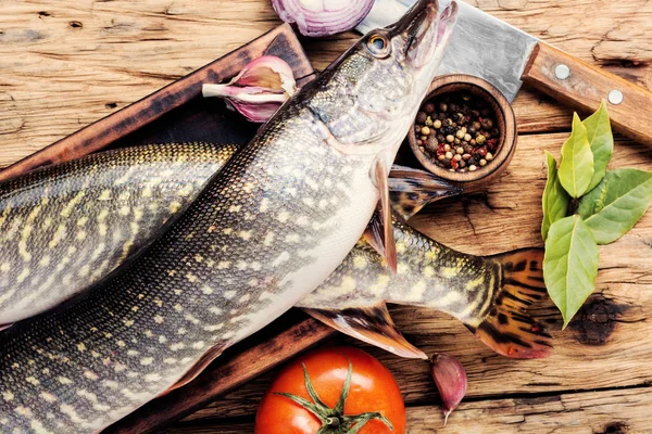 Fresh uncooked pike — Stock Image Fresh uncooked pike Stock Picture