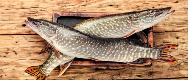 Fish pike on the kitchen board — Stock Image Fish pike on the kitchen board Stock Photo