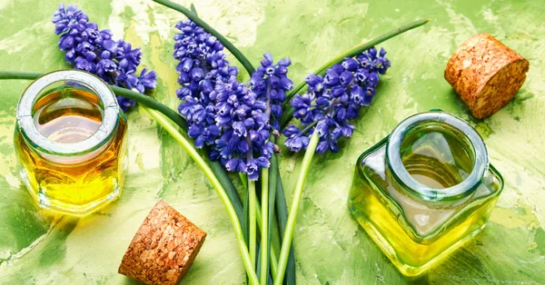 Herbal oil and lavender flowers — Stock Photo, Image