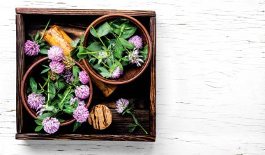 Bitkisel ilaçta Clover