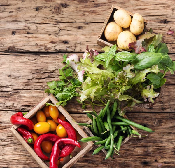 Betakarítás friss zöldségek és a Zöldek — Stock Fotó