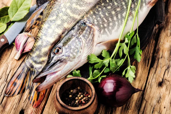 Pesce luccio sul bordo della cucina — Foto Stock