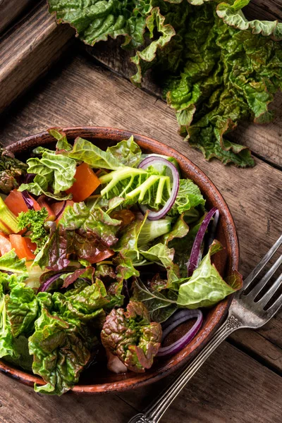 Salada de primavera em fundo de madeira — Fotografia de Stock