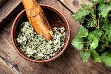 Nettles, urtica tıbbi bitki batma