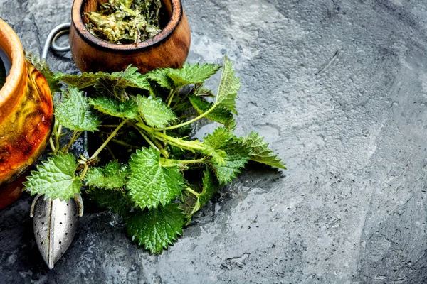 Té curativo con ortiga —  Fotos de Stock