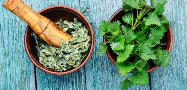 Nettles, urtica tıbbi bitki batma