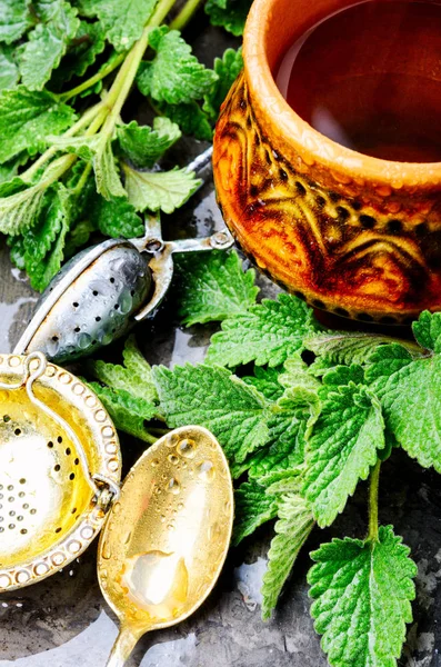 Té con hojas verdes de melisa fresca — Foto de Stock