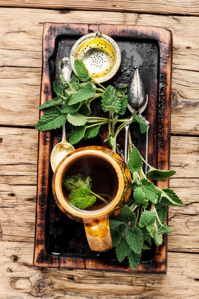 Naturligt te med citronmeliss — Stockfoto